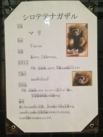 福山市立動物園 飼育員ブログ