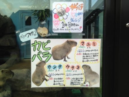 福山市立動物園 飼育員ブログ