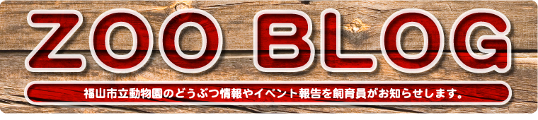 福山市立動物園飼育員ブログ