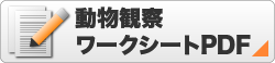 動物観察ワークシート（PDFファイル）のダウンロード